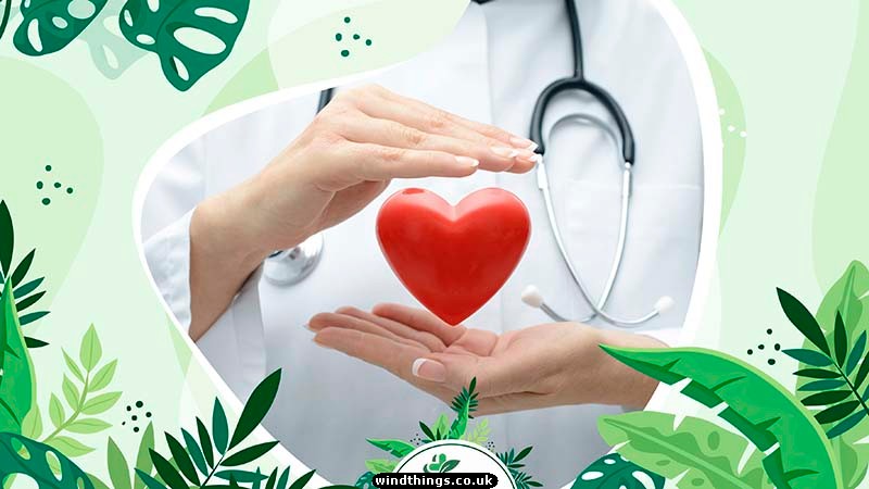 Cardiovascular Health Support